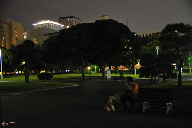 横浜夜景1.jpg